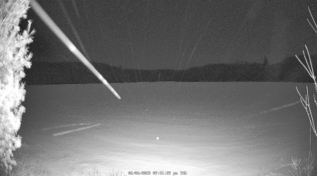 Image from 2025-02-06