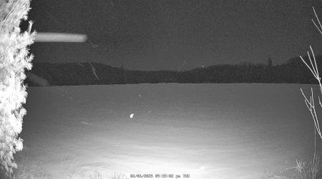 Image from 2025-02-06