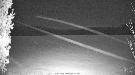 Image from 2025-02-06