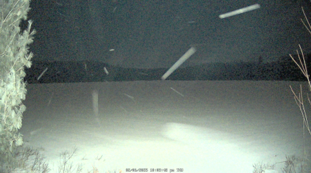Image from 2025-02-06