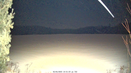 Image from 2025-02-06