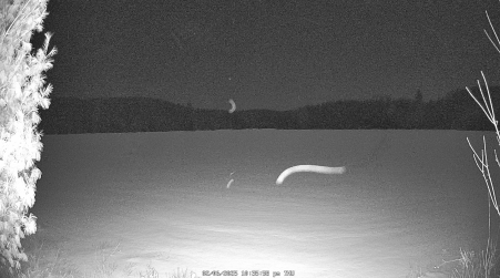 Image from 2025-02-06