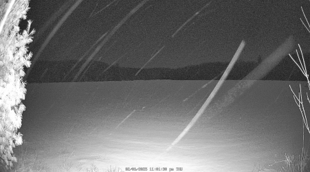 Image from 2025-02-06