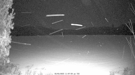 Image from 2025-02-06