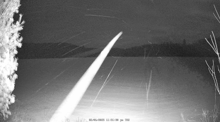 Image from 2025-02-06