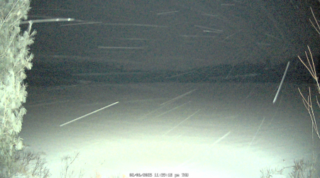 Image from 2025-02-06