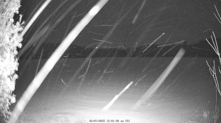Image from 2025-02-07