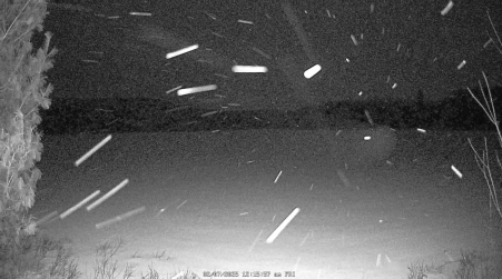 Image from 2025-02-07