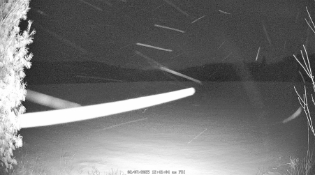 Image from 2025-02-07