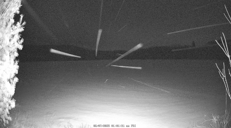 Image from 2025-02-07