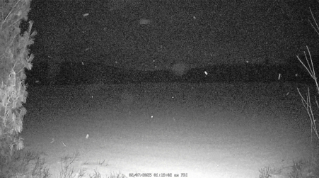 Image from 2025-02-07