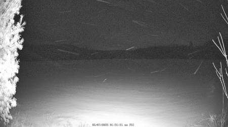 Image from 2025-02-07