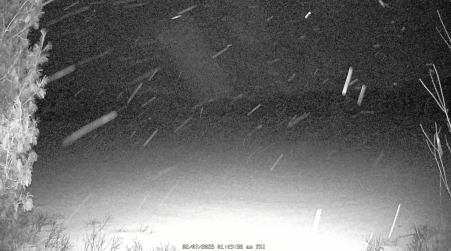 Image from 2025-02-07