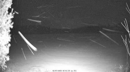 Image from 2025-02-07