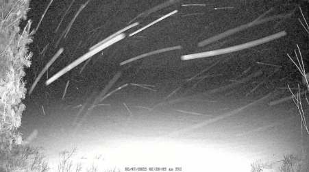 Image from 2025-02-07