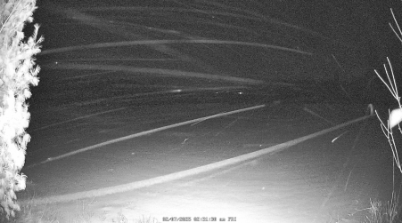 Image from 2025-02-07