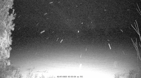 Image from 2025-02-07