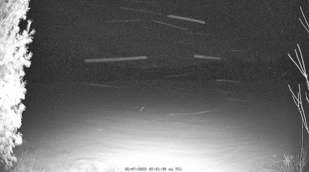 Image from 2025-02-07