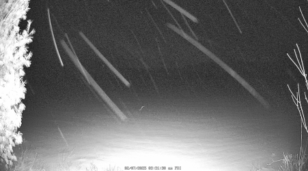 Image from 2025-02-07