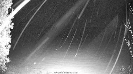 Image from 2025-02-07
