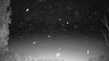 Image from 2025-02-07