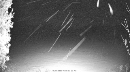 Image from 2025-02-07