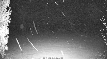 Image from 2025-02-07
