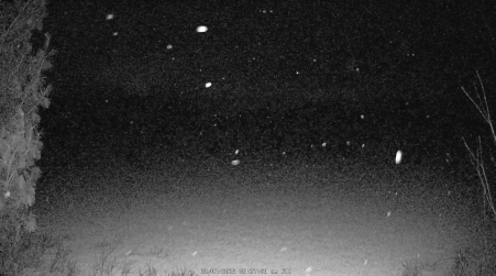 Image from 2025-02-07