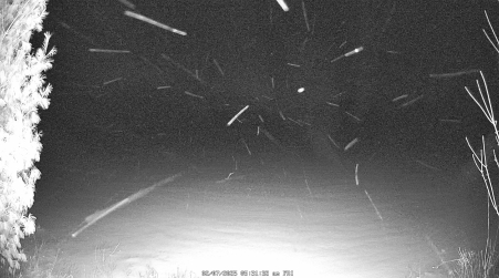 Image from 2025-02-07