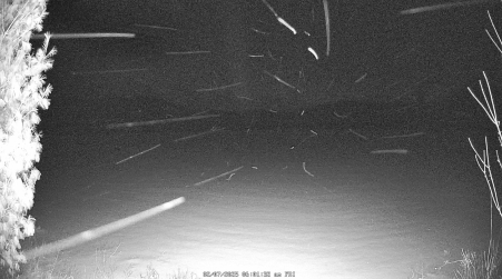 Image from 2025-02-07