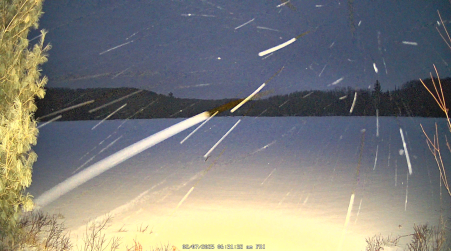 Image from 2025-02-07