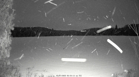 Image from 2025-02-07