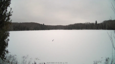 Image from 2025-02-07