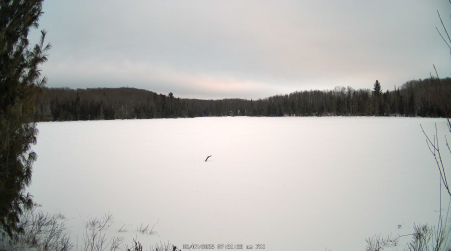 Image from 2025-02-07