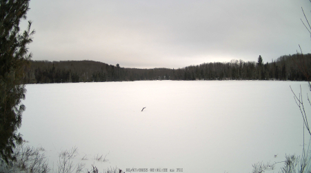 Image from 2025-02-07