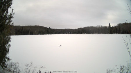 Image from 2025-02-07