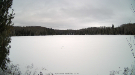 Image from 2025-02-07