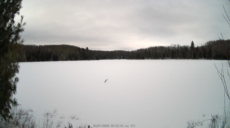 Image from 2025-02-07