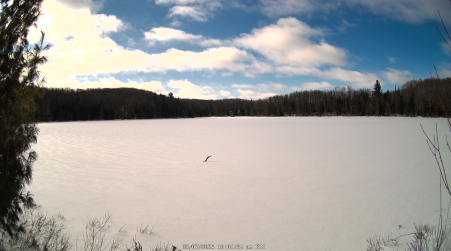 Image from 2025-02-07