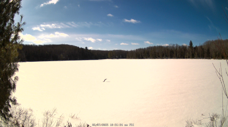 Image from 2025-02-07