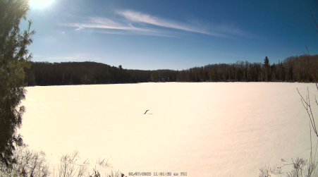 Image from 2025-02-07