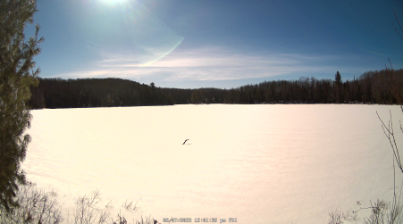 Image from 2025-02-07