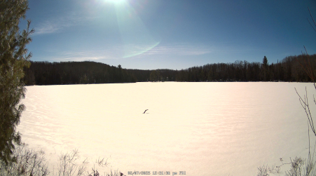 Image from 2025-02-07