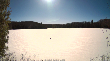 Image from 2025-02-07