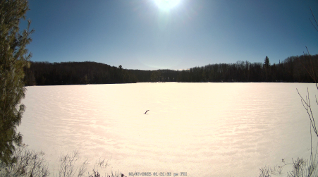 Image from 2025-02-07