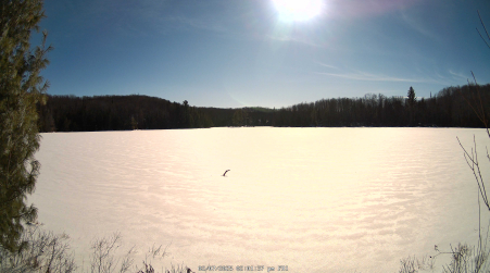 Image from 2025-02-07