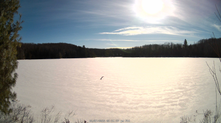 Image from 2025-02-07