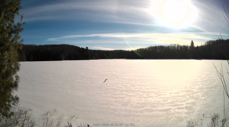 Image from 2025-02-07