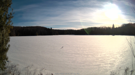 Image from 2025-02-07
