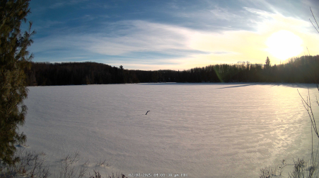 Image from 2025-02-07